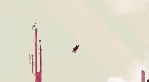 Birds Jumping